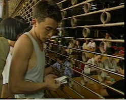 震驚全球：本想賣表賺錢結(jié)果發(fā)生8·10 風(fēng)波314.png